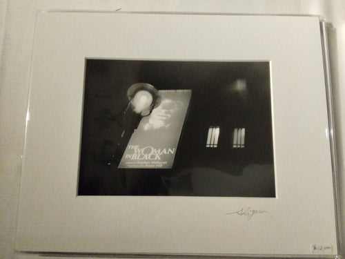 ウーマン・イン・ブラック（ロンドン、2014年）